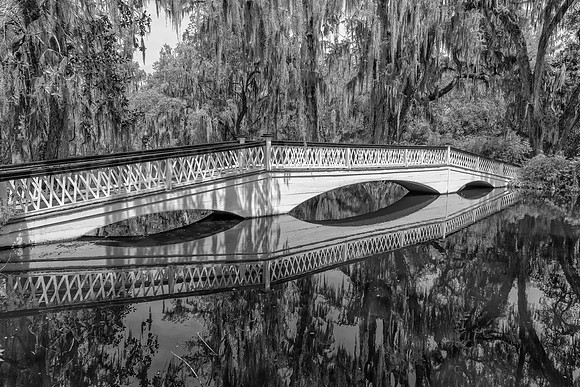 The Bridge at Magnolia Plantation