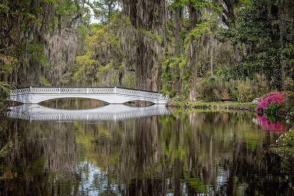 The Bridge