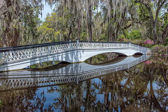 The Bridge